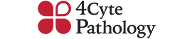 Healius pathology collection centre Australia